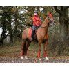 Owijki Loire Satin LeMieux, 4 szt., 2,8/3,8 m, sienna (Rozmiar FULL)