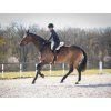 Podkładka do jazdy Super Soft QHP, black/nature (Rozmiar FULL)