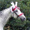 Nauszniki Christmas QHP, czerwone (Rozmiar PONY)