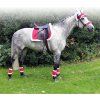 Nauszniki Christmas QHP, czerwone (Rozmiar PONY)