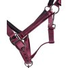 Zestaw kantar i uwiąz Lily QHP, burgundy