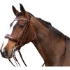 Ogłowie Ergo HorseGuard, brązowe
