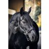 Kantar FIR-Tech CATAGO, czarny (Rozmiar PONY)