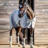 Kantar Guard BUSSE, z jagnięcą skórą, anthracite/black (Rozmiar PONY)