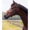 Kawecan/Ogłowie QHP, Brązowy (Rozmiar PONY)