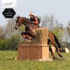 Ochraniacze przednie Eventing Technical QHP, para, orange