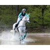 Ochraniacze na tylne nogi Eventing Technical QHP, para, mint green
