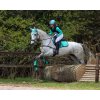 Ochraniacze na tylne nogi Eventing Technical QHP, para, mint green