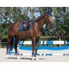Nauszniki Florence QHP, navy (Rozmiar PONY)