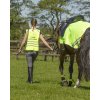 Odblaskowe opaski na nogi dla konia QHP, para, yellow