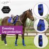 Ochraniacze na ścięgna tylne Eventing Technical QHP, para, kobaltowy niebieski