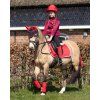 Nauszniki Halloween QHP, diabeł (Rozmiar PONY)