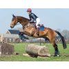 Ochraniacze na ścięgna tylne Eventing Technical QHP, para, navy (Rozmiar L)