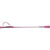 34512 bic detsky felix 65cm qhp pink