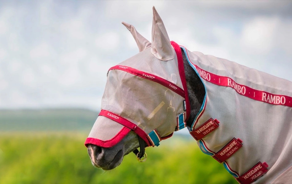 Ako vybrať: maska proti hmyzu