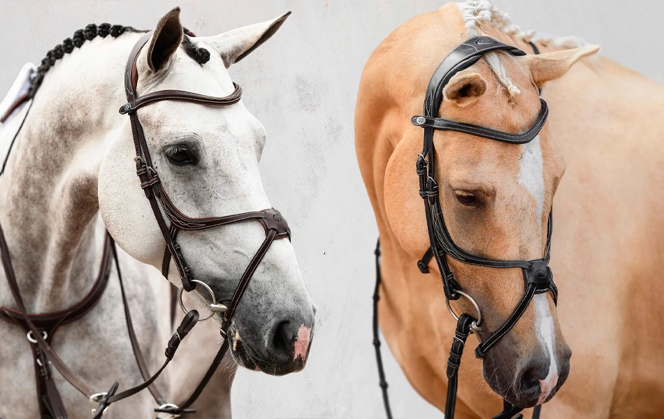 Ako vybrať: Uzdečka s mexickým nánosníkom