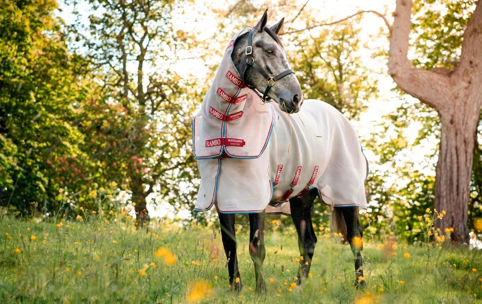 Porovnanie diek: Horseware deky proti hmyzu