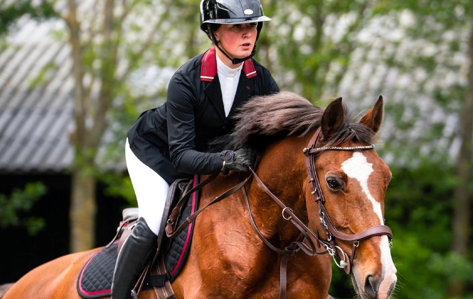 Kompletné vybavenie na preteky