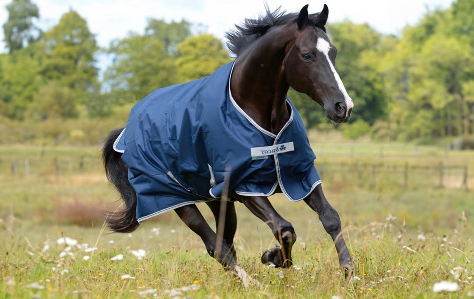DEKOVANIE: Veľký sprievodca výberom diek