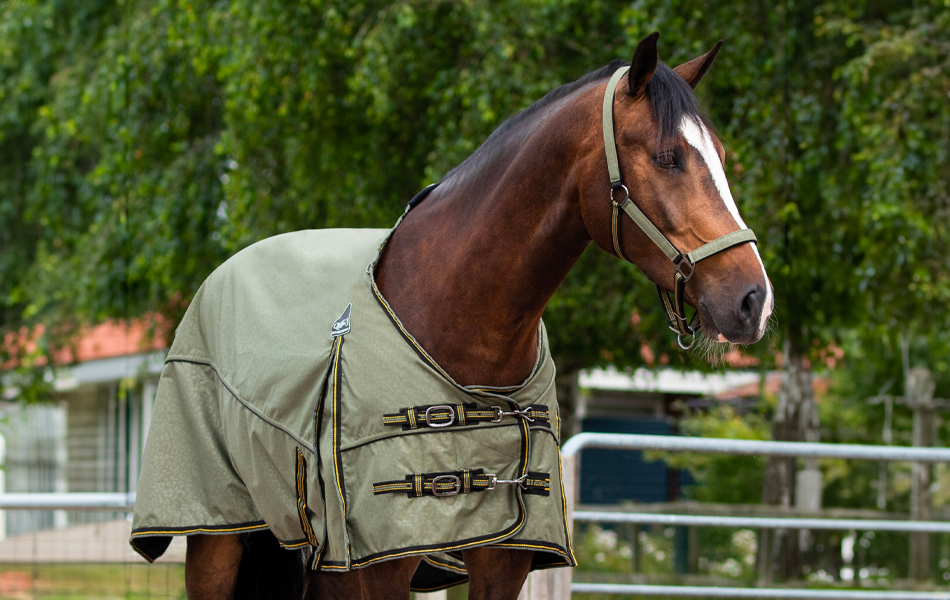 Ako zmerať veľkosť deky pre koňa