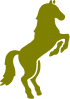 Horse Icon