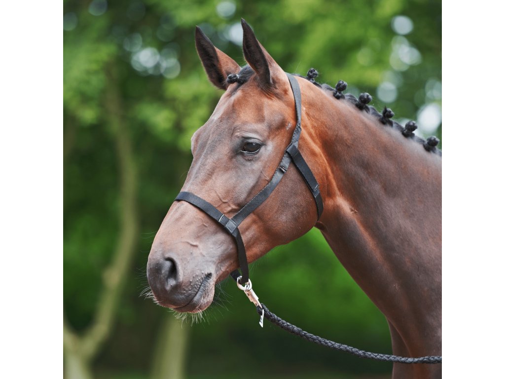 Ohlávka Weide BUSSE, čierna