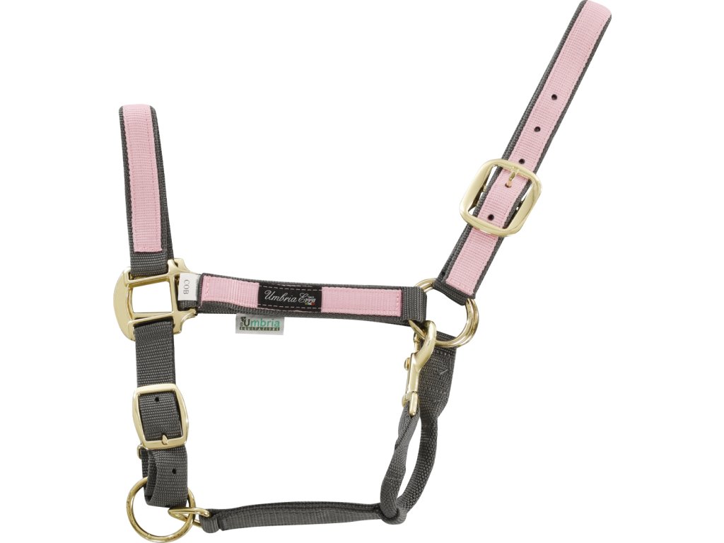 Ohlávka nylonová Colored Parts Umbria Equitazione, grey/pink
