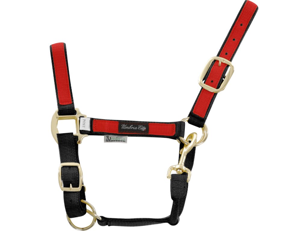 Ohlávka nylonová Colored Parts Umbria Equitazione, black/red