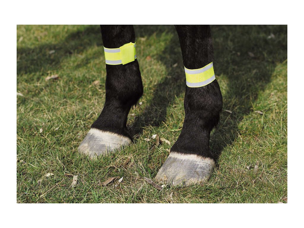 Páska na nohy koňa reflexná Norton, pár, yellow