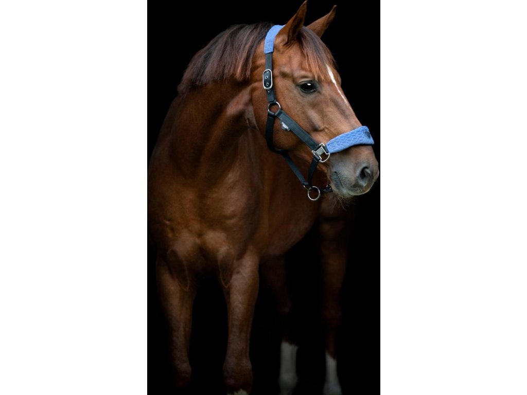 Ohlávka Grand FIR-Tech CATAGO, crown blue