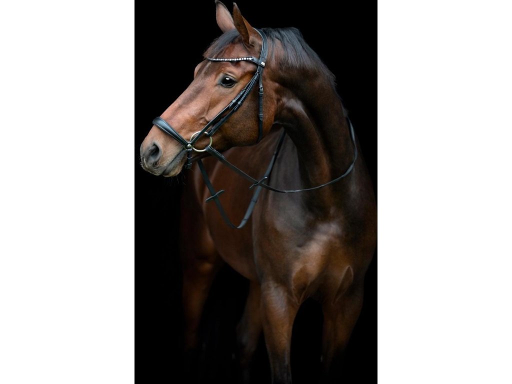 Uzdečka Cryll 25.2 HorseGuard, čierna