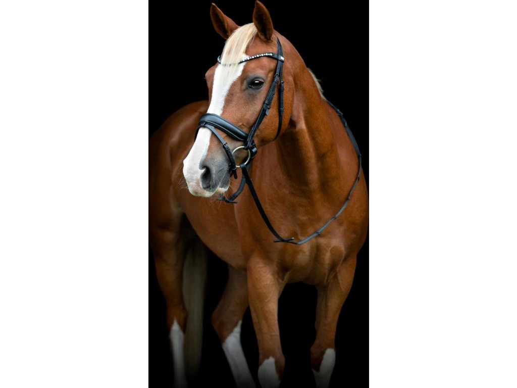 Uzdečka anatomická Cryll 25.2 HorseGuard, čierna