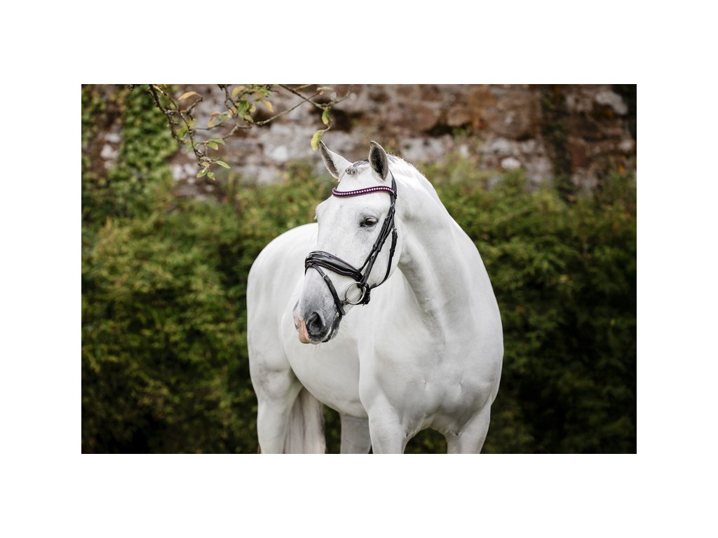 Uzdečka Diamante Flash Horseware, black/pink