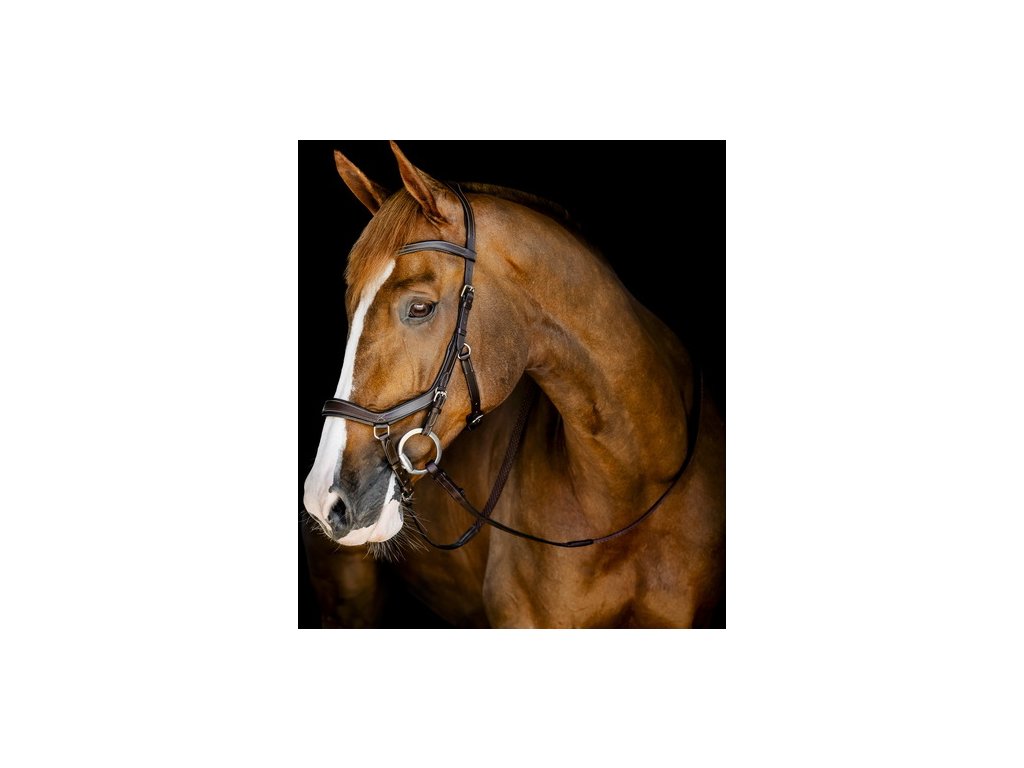 Uzdečka Competition Rambo Micklem, dark havana