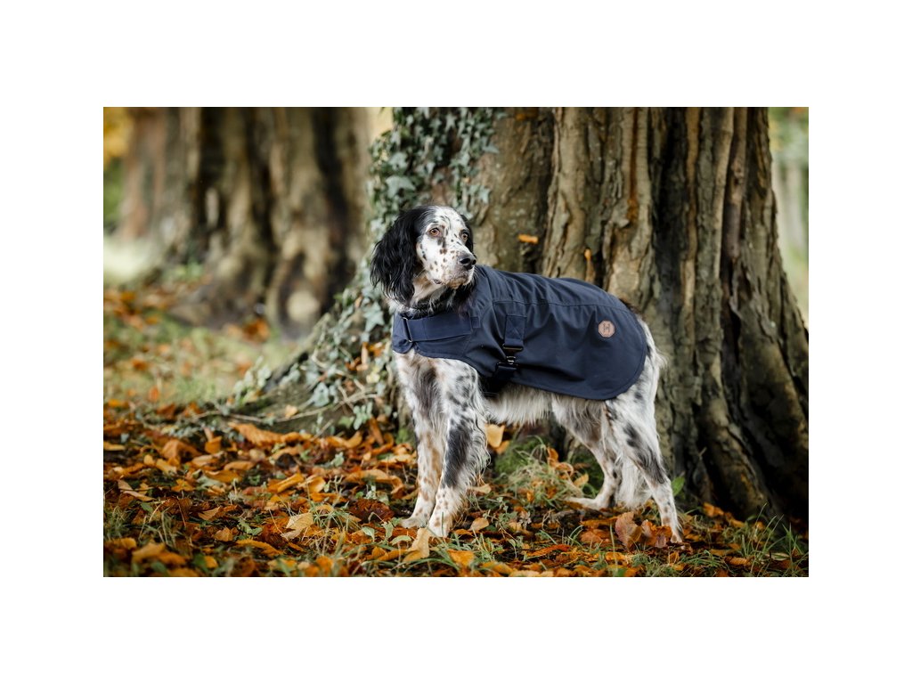 Deka pre psov Newmarket Heritage Horseware, 0 g, navy/witney navy
