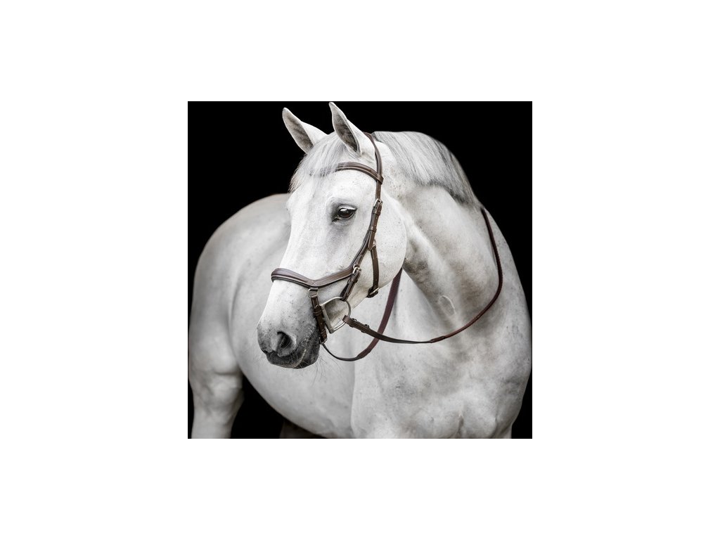 Uzdečka Deluxe Competition Rambo Micklem, model 2025, dark havana