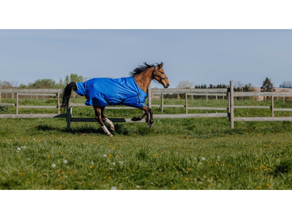 Deka výbehová Tyrex Aisance Equithème, 50 g, royal blue