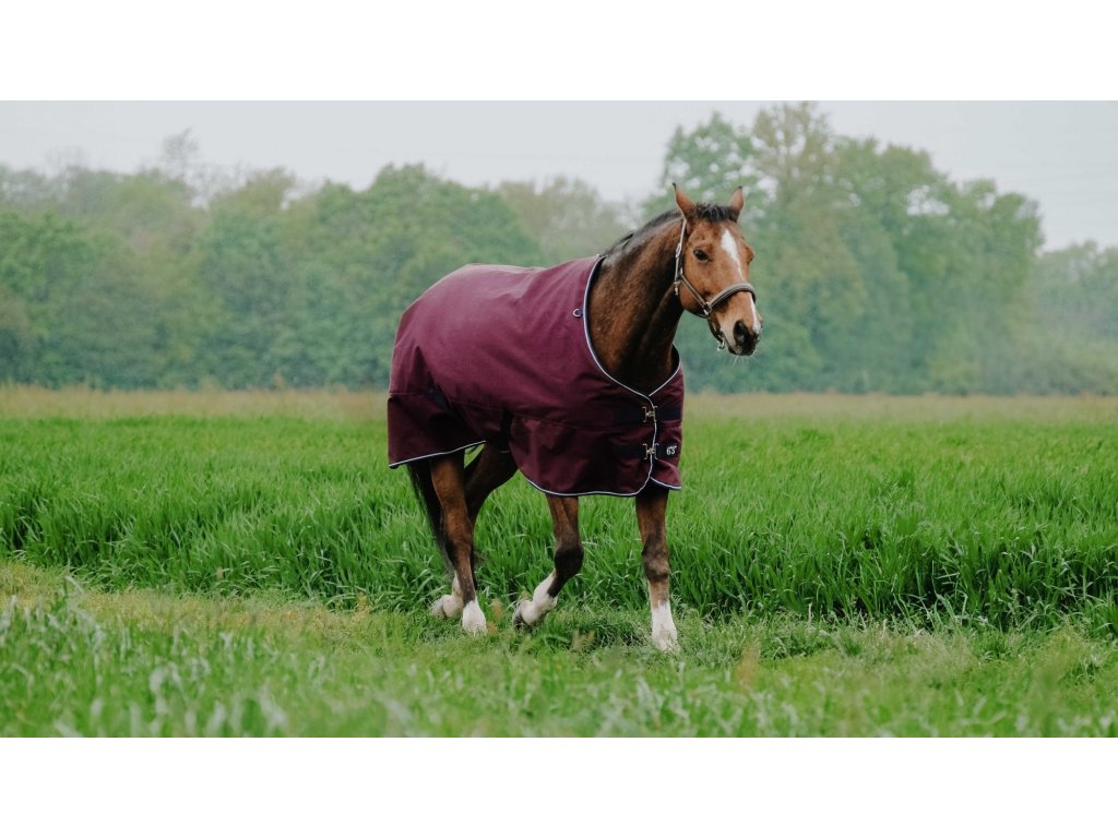 Deka výbehová Tyrex Equithème, 50 g, burgundy