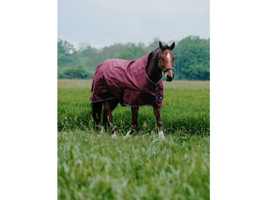Deka výbehová Tyrex Equithème, s vyšším krkom, 150 g, burgundy