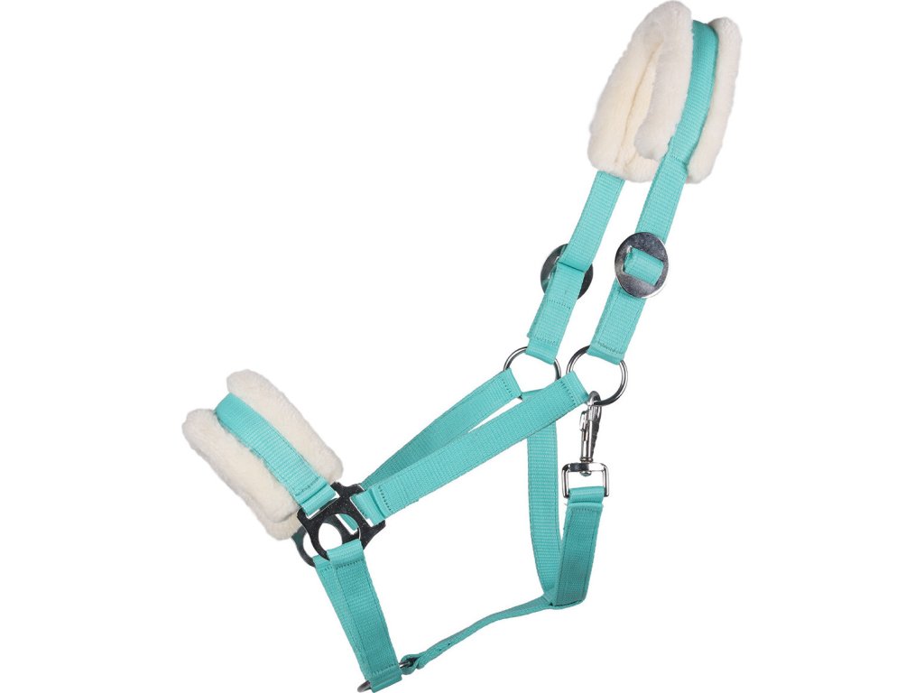 Ohlávka Cali Q-essentials, turquoise