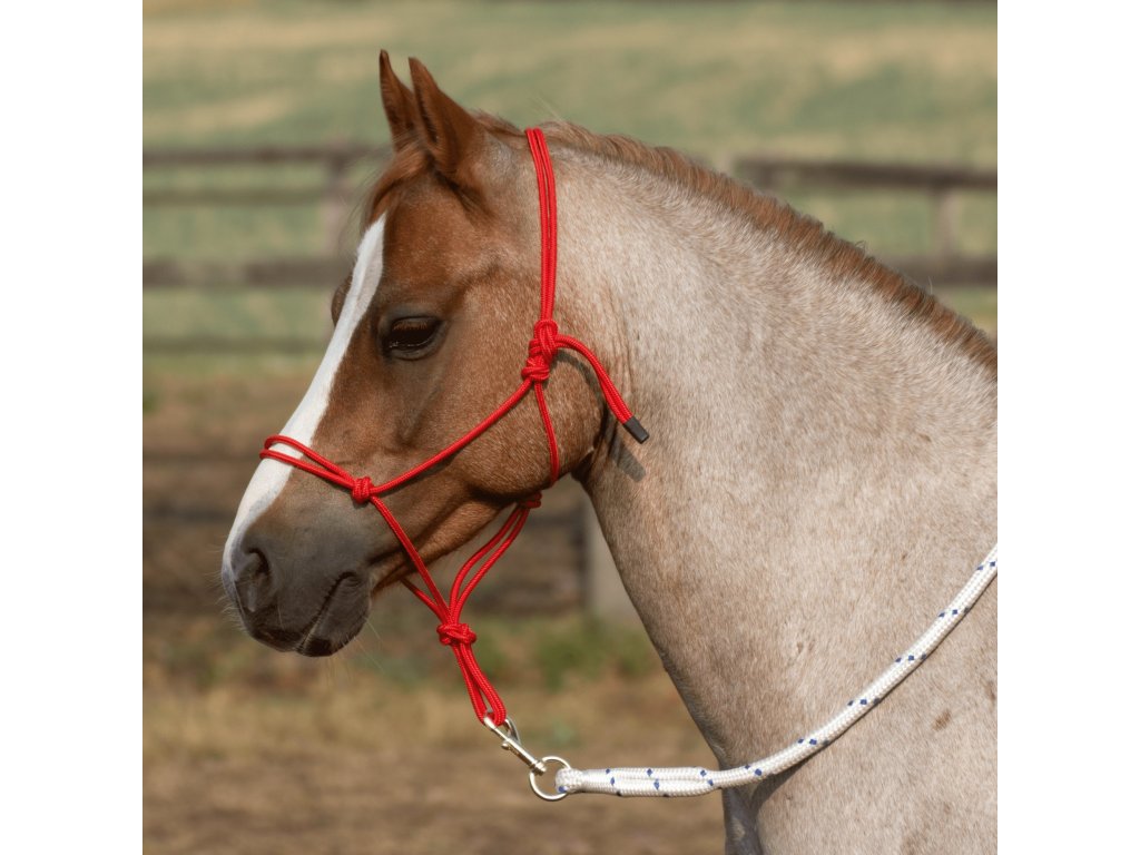 Ohlávka povrazová Smooth II BUSSE, red