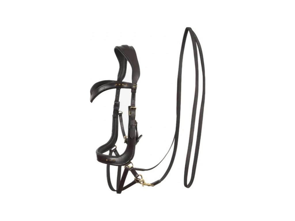 Uzdečka bezzubadlová Glory F.R.A., systém 4, hnedá