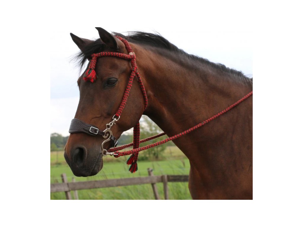 Uzdečka bezzubadlová Bodanza F.R.A., COB/FULL, green/red