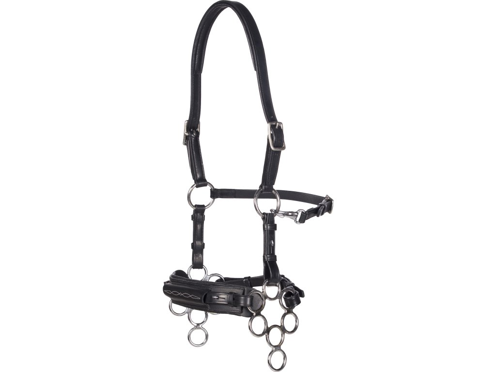 Uzdečka s hackamore Aram F.R.A., čierna
