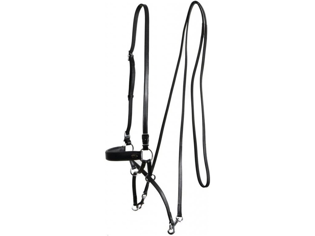 Uzdečka bezzubadlová Janosch F.R.A., čierna