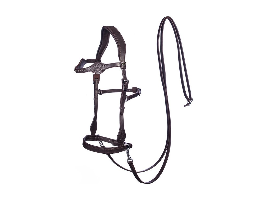 Uzdečka bezzubadlová Sidepull Dandy F.R.A., hnedá