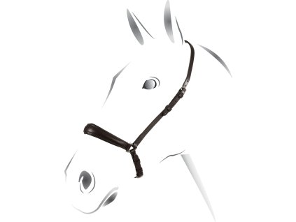 Nánosník hannoverský Equestro, tmavohnedý