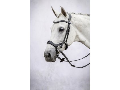 Uzdečka Pioneer PS of Sweden, čierna