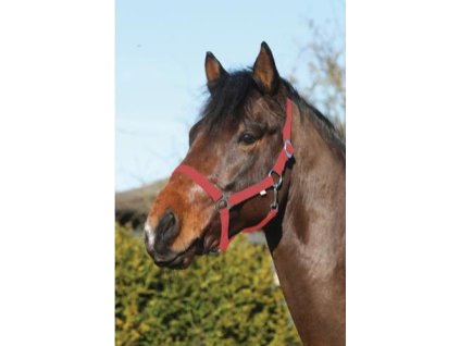 Ohlávka Nylon Slide HorseGuard, red