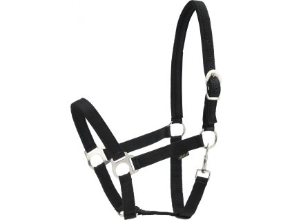 Ohlávka so strieborným kovaním Nylon HorseGuard, čierna